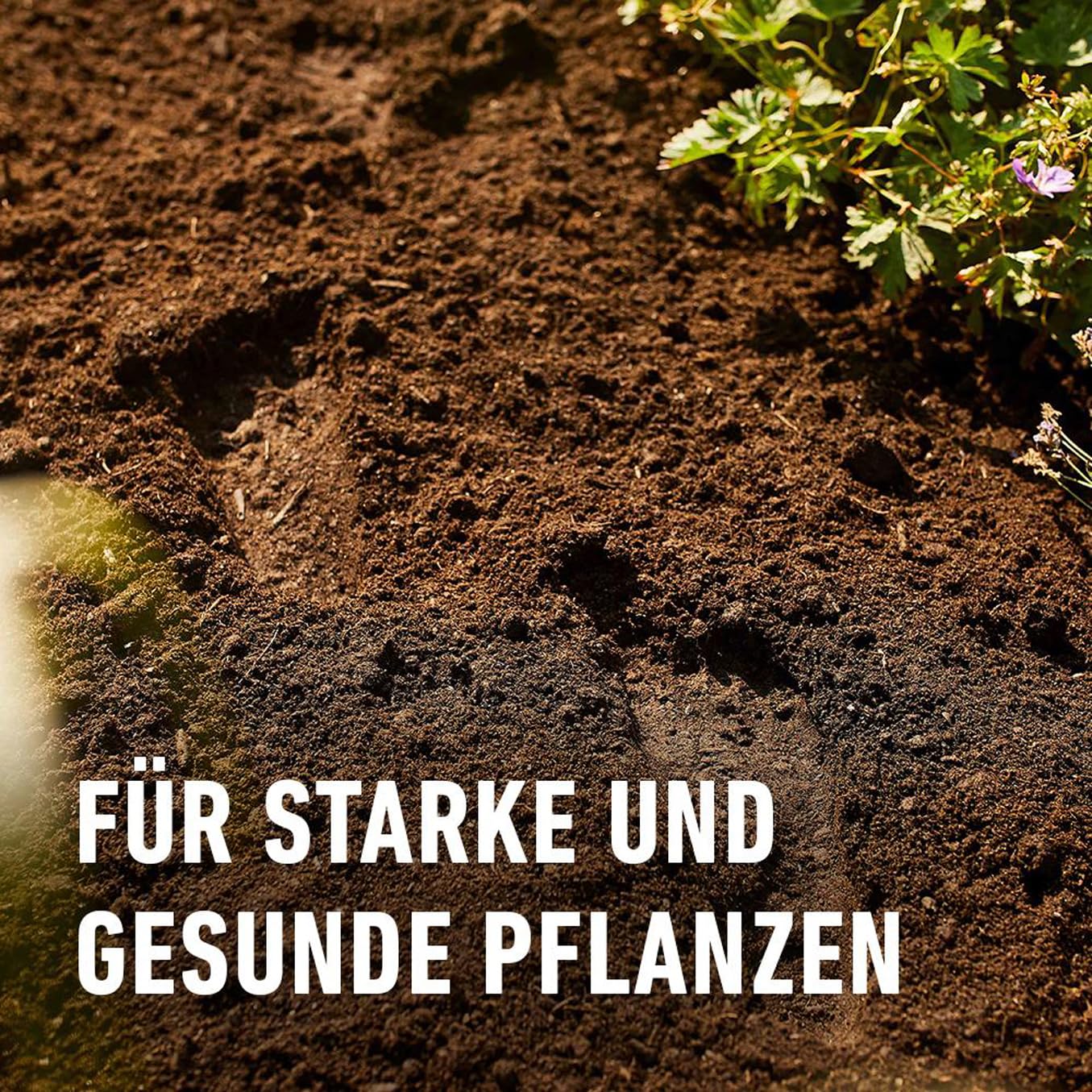 compo-bio-pflanzerde-torffrei-50-l-humusreiches-substrat-mit-5-wochen-n-hrstoffe image 5