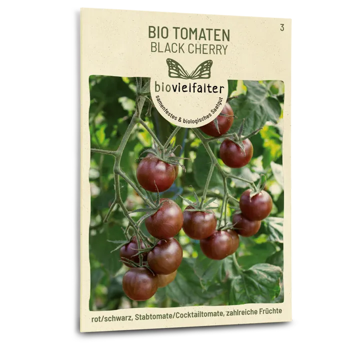 plantura-bio-tomate-black-cherry-bio-saatgut-cherrytomate image 1