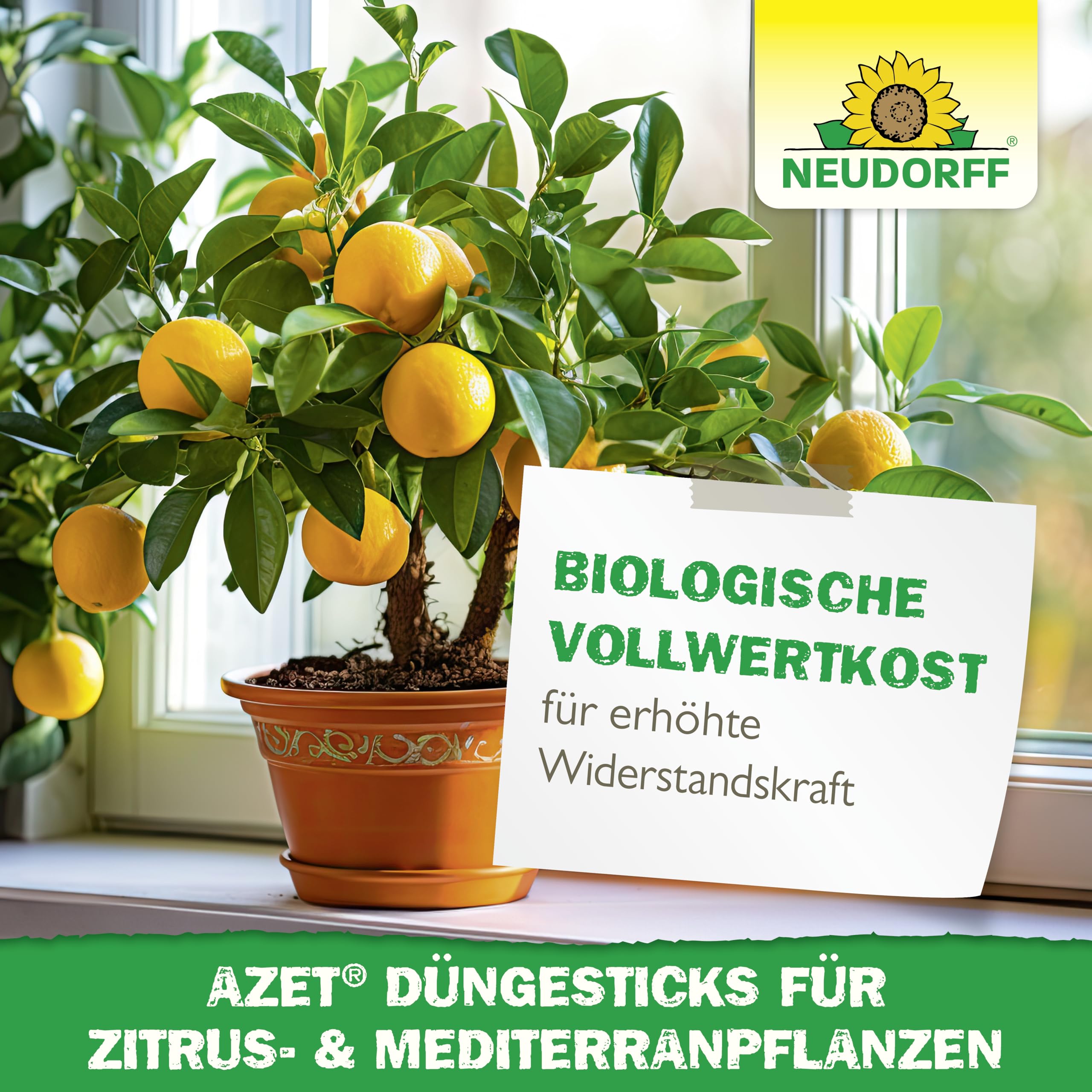 neudorff-azet-d-ngesticks-f-r-zitrus-und-mediterranpflanzen-bio-d-ngest-bchen-40 image 6