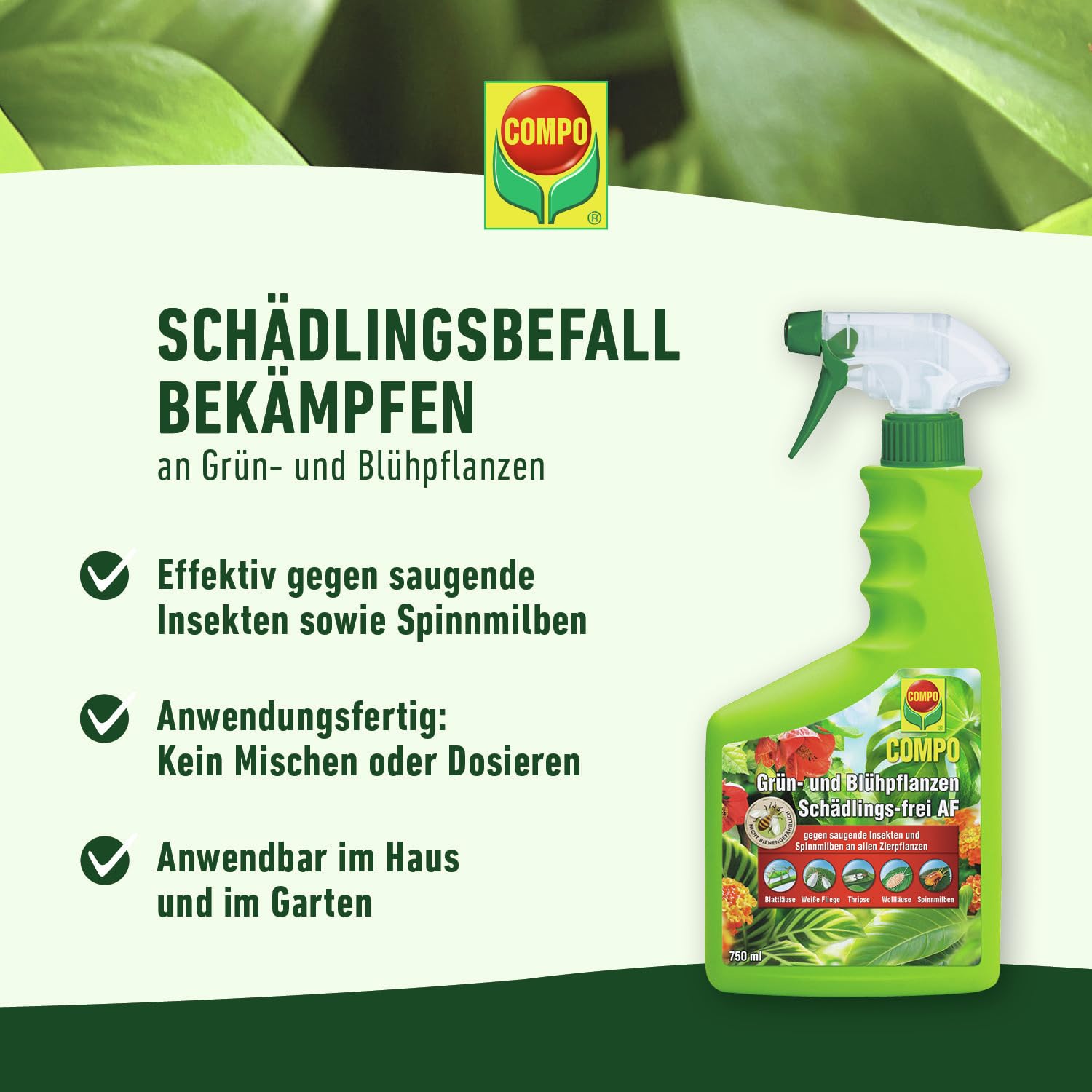 compo-gr-n-und-bl-hpflanzen-sch-dlings-frei-af-750-ml image 8