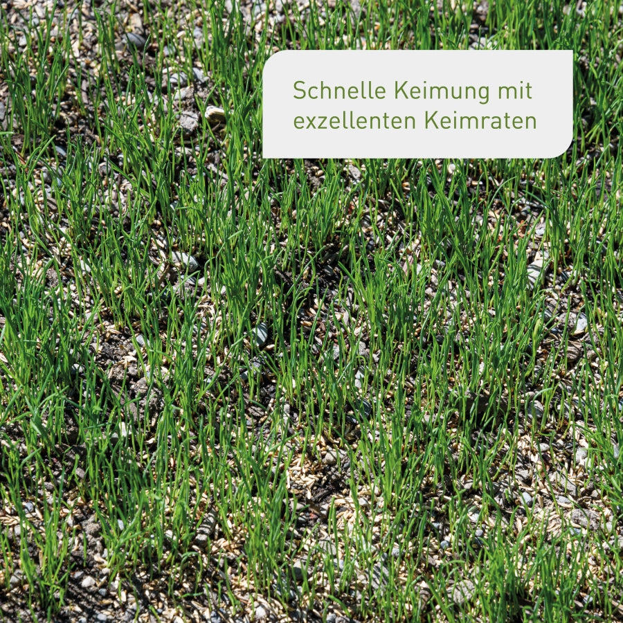 plantura-rasen-nachsaat-2-kg-premium-grassamen image 4