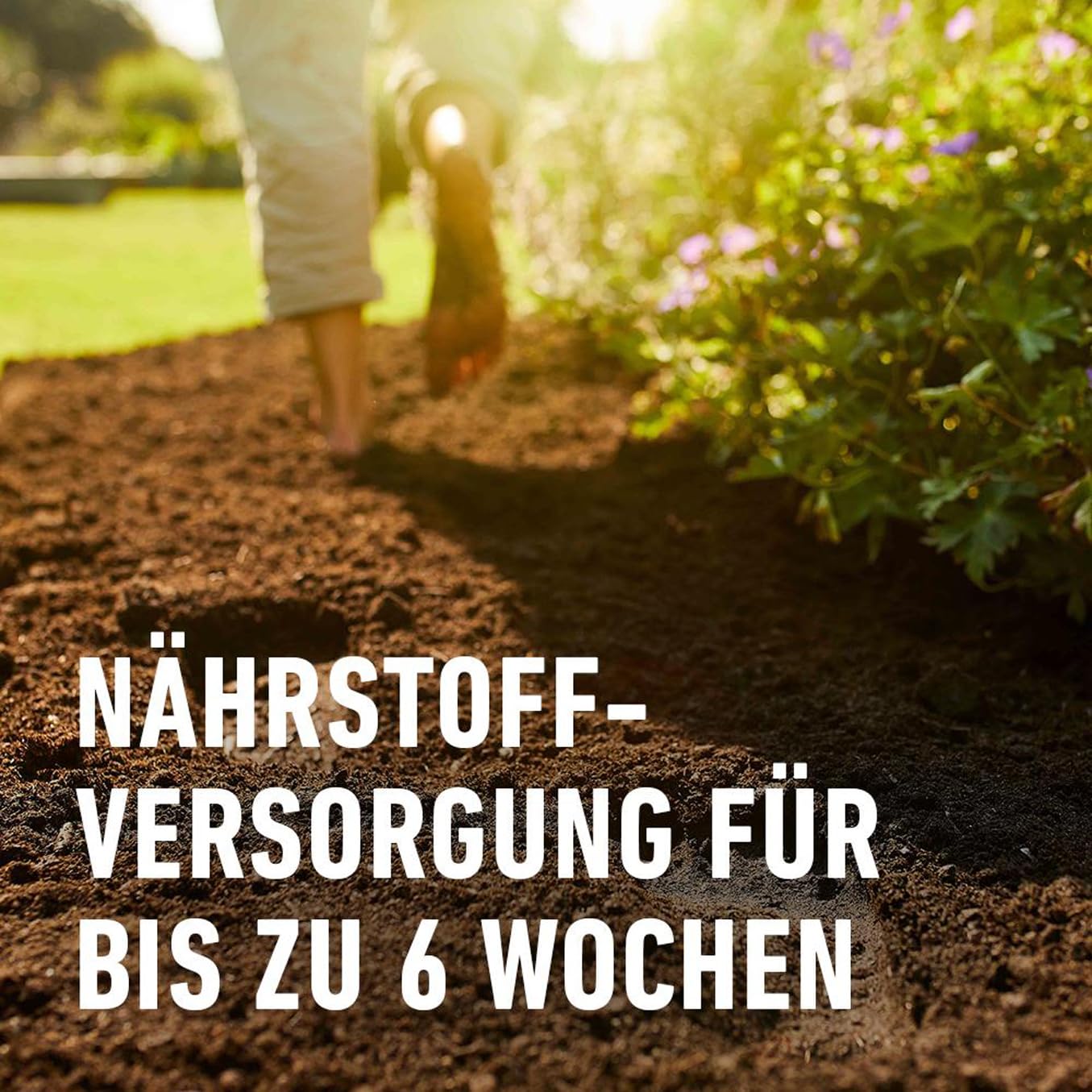 compo-bio-anzucht-und-kr-utererde-10-l-torffrei image 4