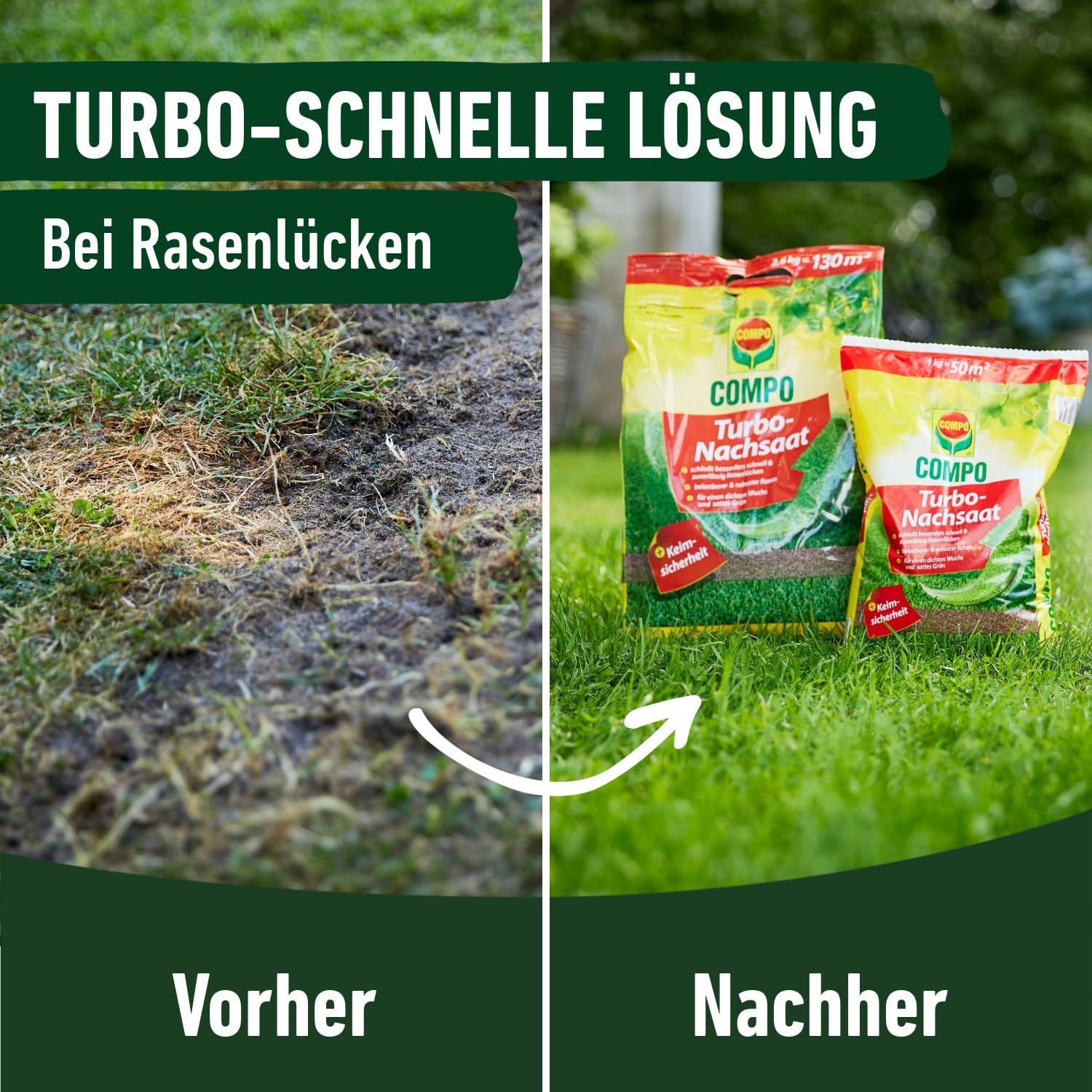 compo-turbo-nachsaat-premium-rasensamen-schnellkeimend-1-kg-f-r-50-m image 6