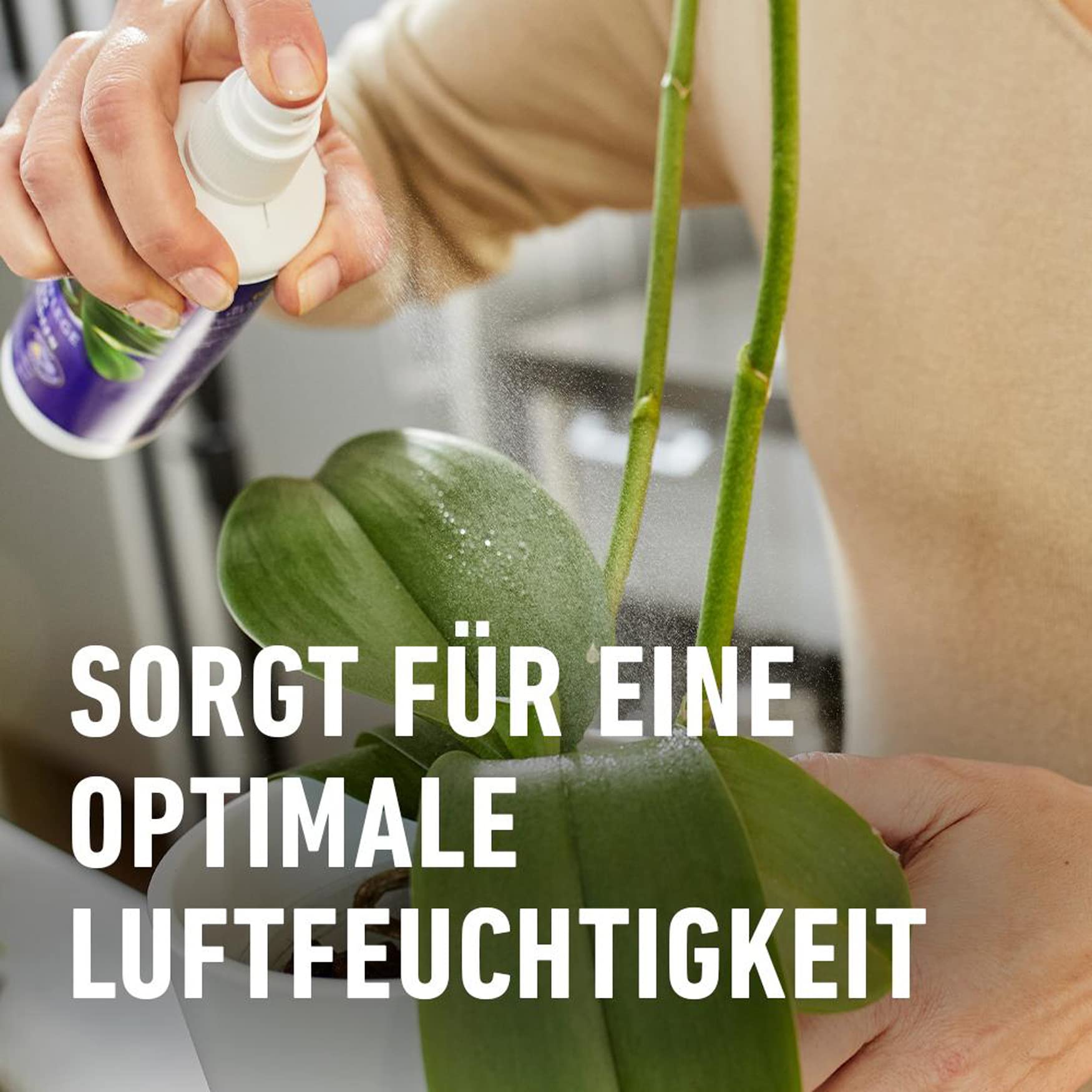 compo-blattpflege-f-r-orchideen-250-ml-spr-hflasche image 3