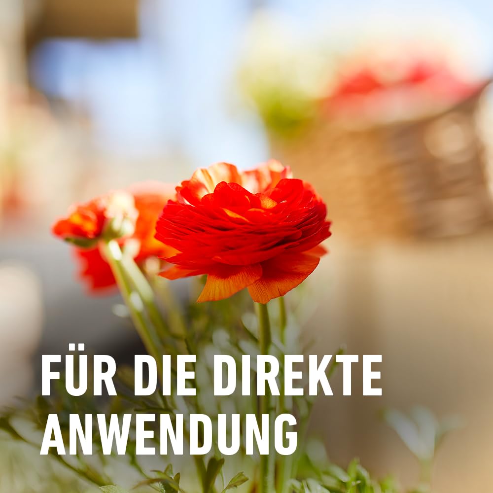 compo-gr-n-und-bl-hpflanzen-sch-dlings-frei-af-750-ml image 7