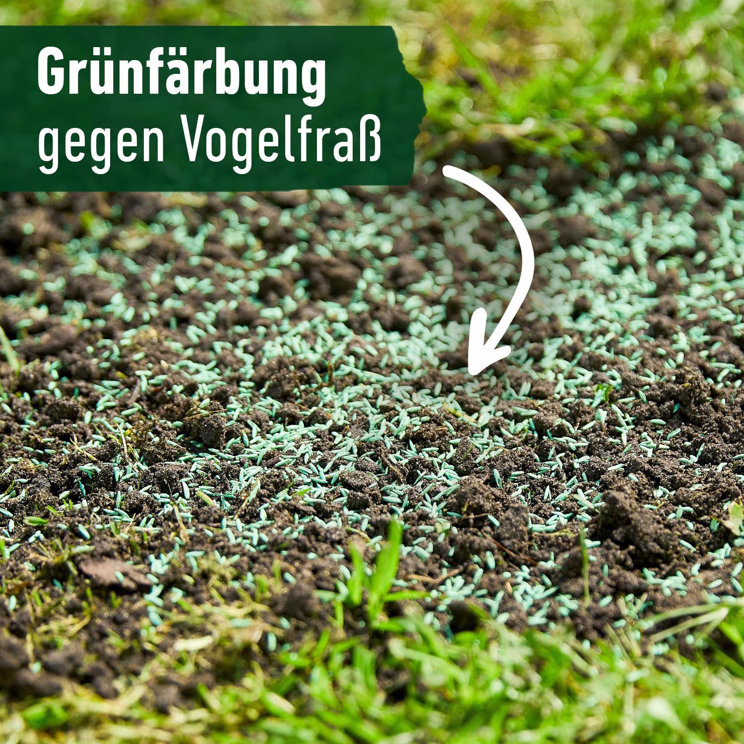 compo-universal-rasensamen-schnellkeimend-5-kg-f-r-250-m-spiel-und-sportrasen image 7
