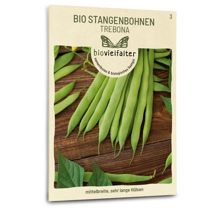 plantura-bio-stangenbohne-trebona-bio-saatgut image 1