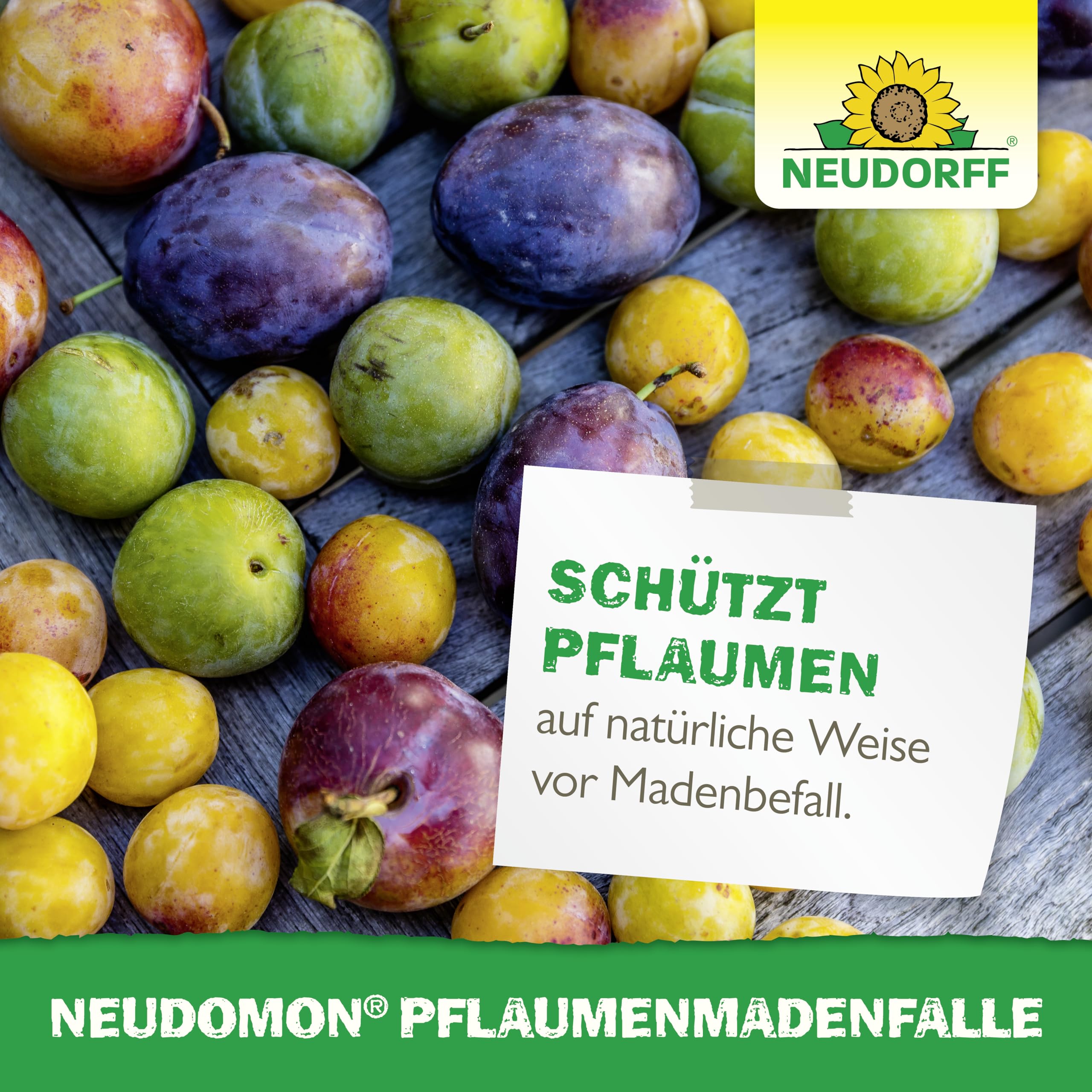 neudorff-neudomon-pflaumenmadenfalle-nachf-llbares-set-gegen-pflaumenwickler image 6