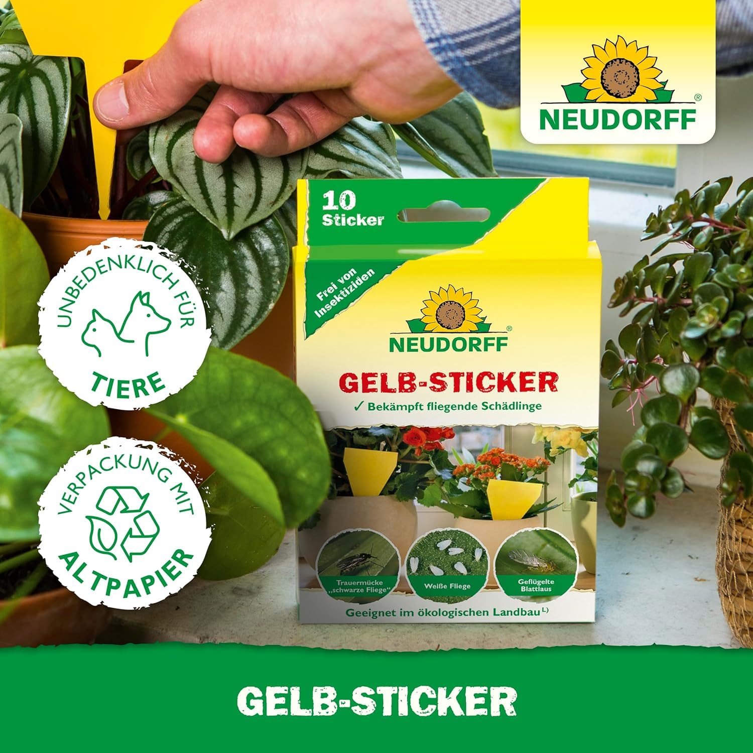 neudorff-gelbsticker-gegen-trauerm-cken-10-st-ck image 6