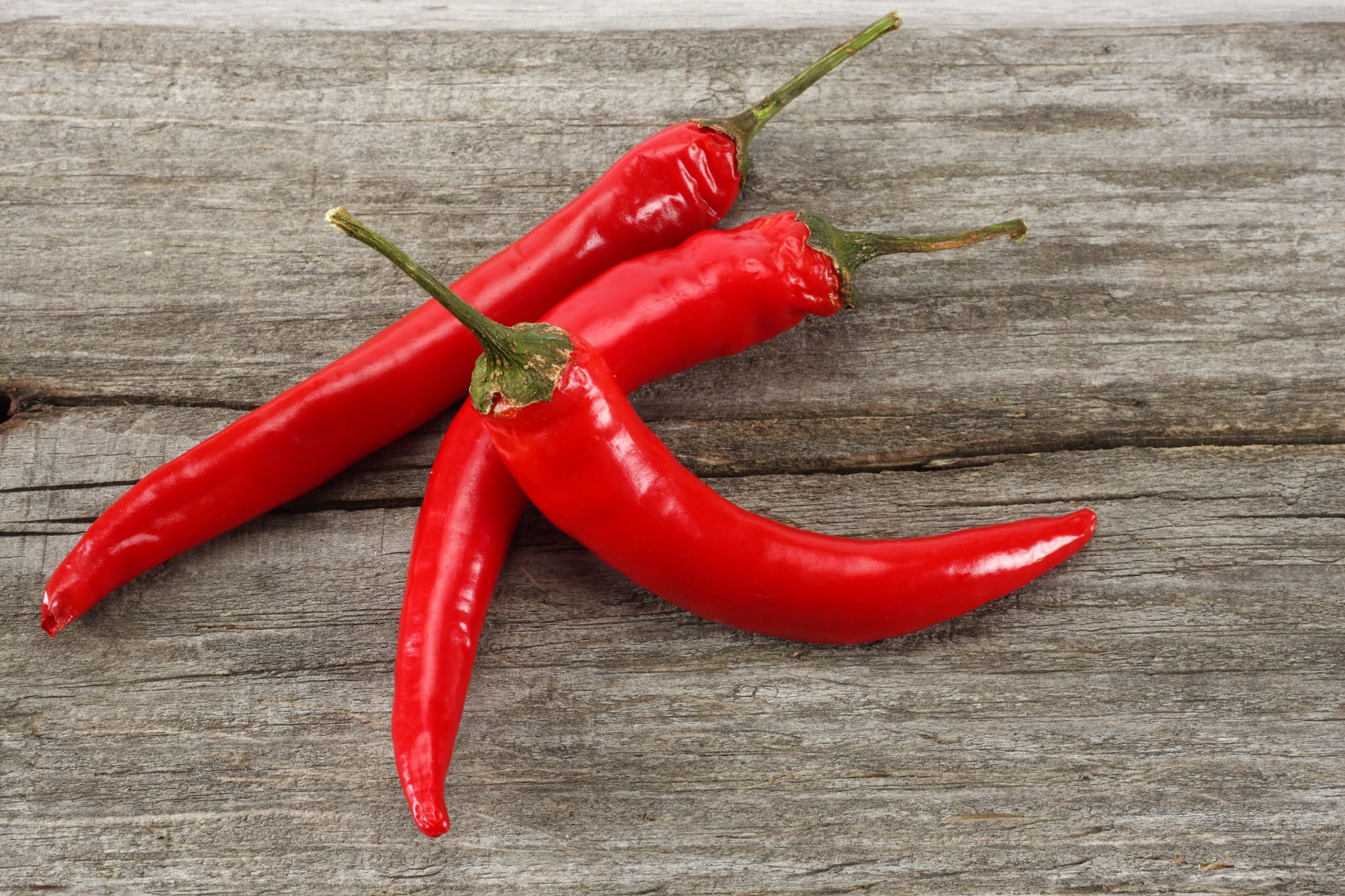 plantura-bio-chili-de-cayenne-bio-saatgut image 2