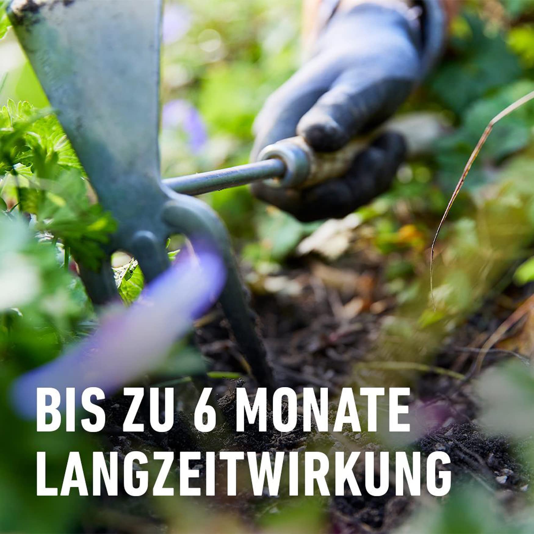compo-5in1-pflanz-d-nger-1-5-kg-mit-6-monate-langzeitwirkung image 4