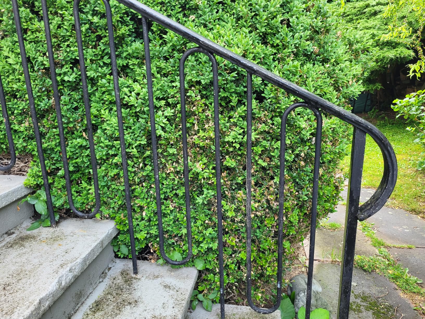 Reicht für große Hecke