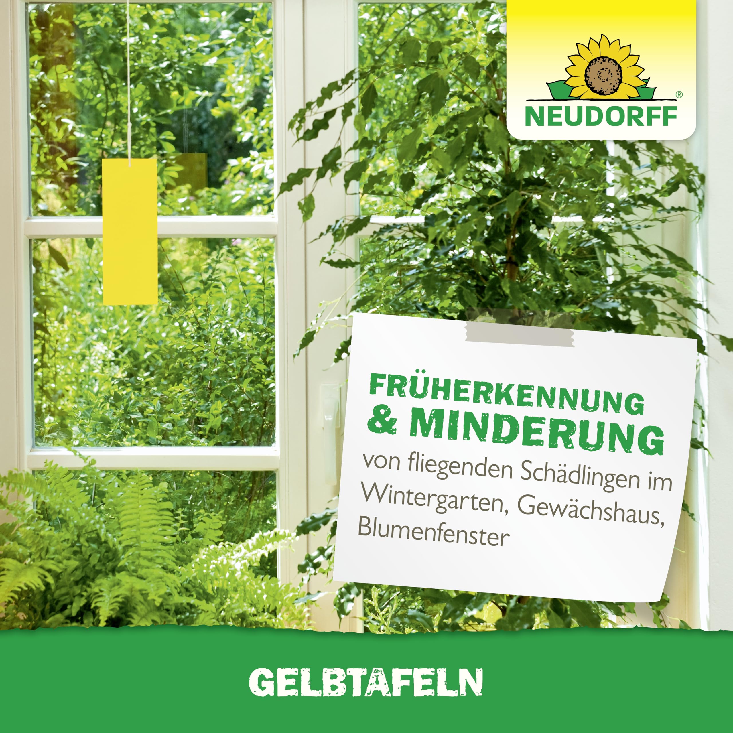 neudorff-gelbtafeln-kleinformatig-7-st-ck-leimtafeln-gegen-trauerm-cken image 7
