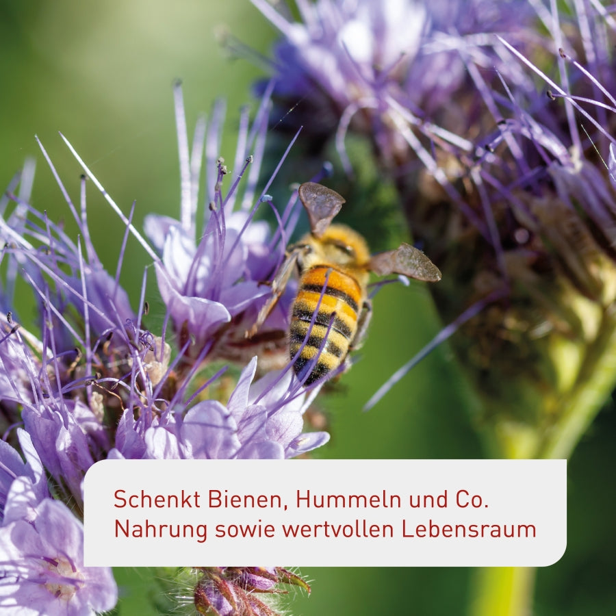 plantura-bienenweide-150-g-blumensamen-mischung image 6
