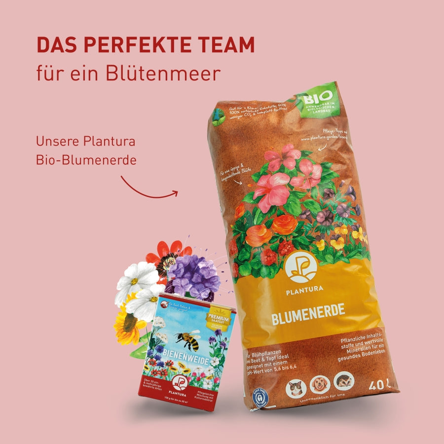 plantura-bienenweide-150-g-blumensamen-mischung image 8