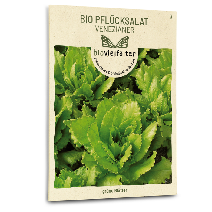 plantura-bio-pfl-cksalat-venezianer-bio-saatgut-blattsalat image 1