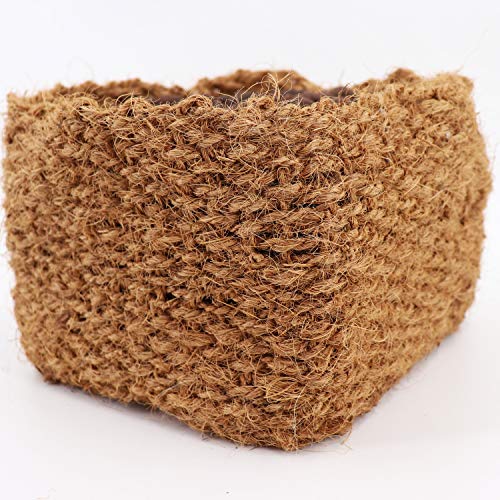 aquagart-kokos-pflanzkorb-20x20x15-cm-9-st-ck-natur image 8