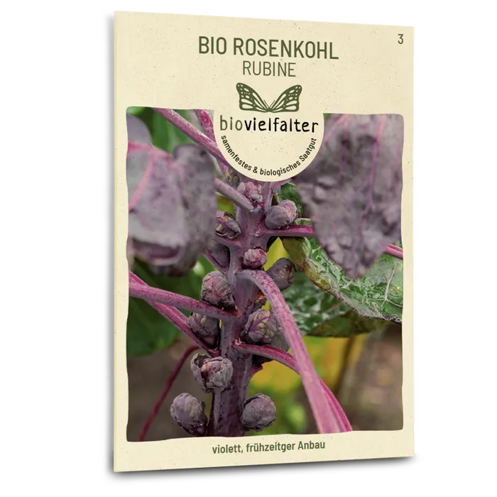 plantura-bio-rosenkohl-rubine-bio-saatgut image 1
