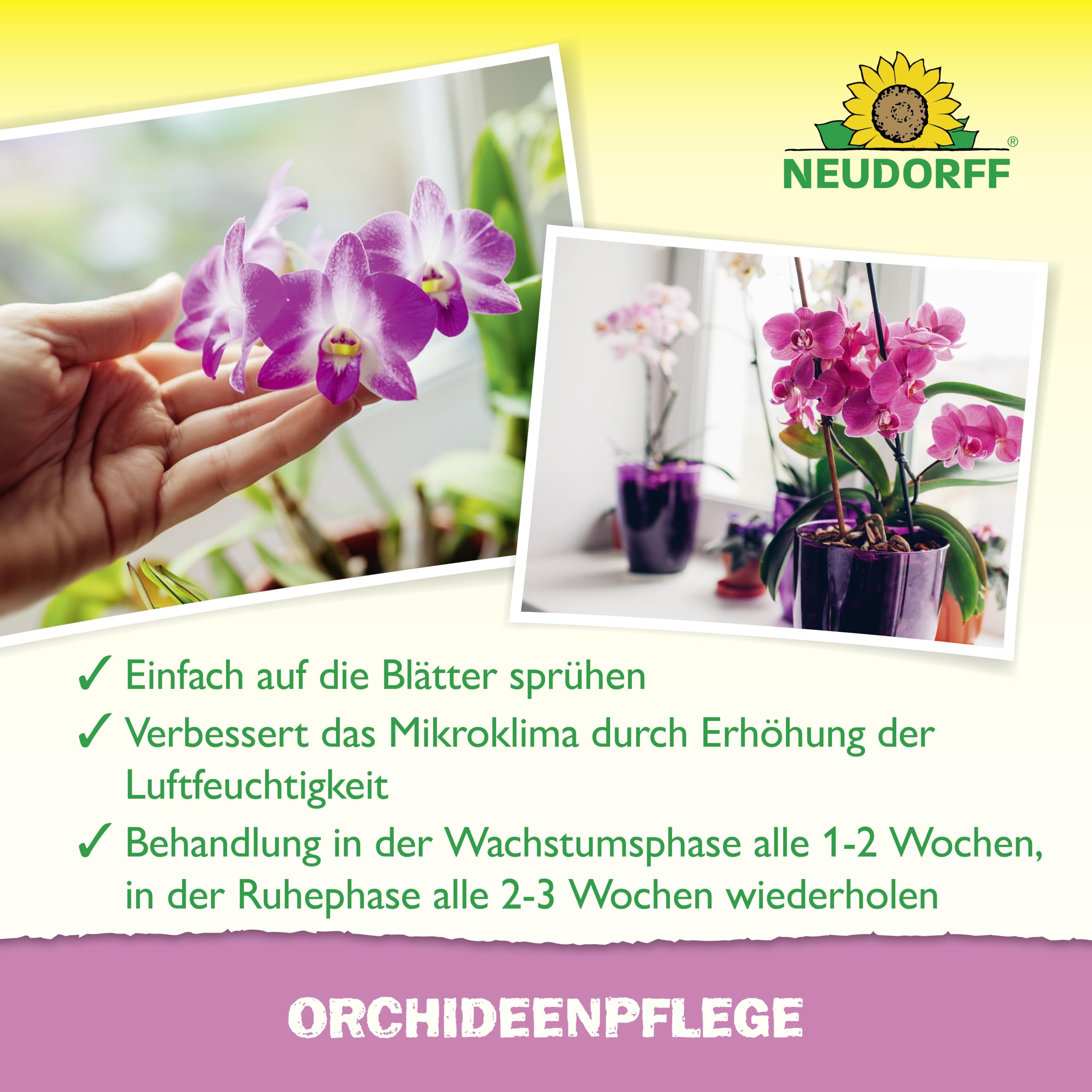 neudorff-orchideenpflege-spr-hpflege-f-r-bl-tter-und-bl-tenbildung image 4