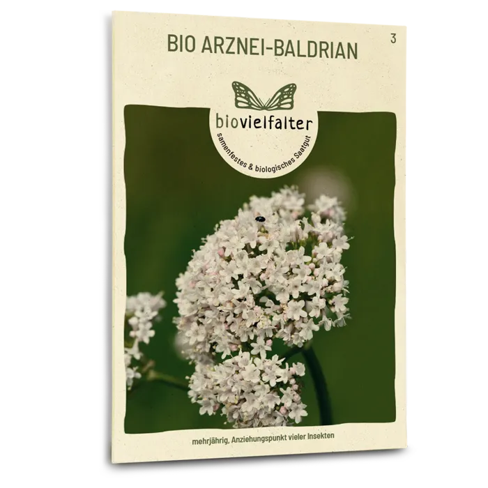 plantura-bio-arznei-baldrian-bio-saatgut-echter-baldrian image 1