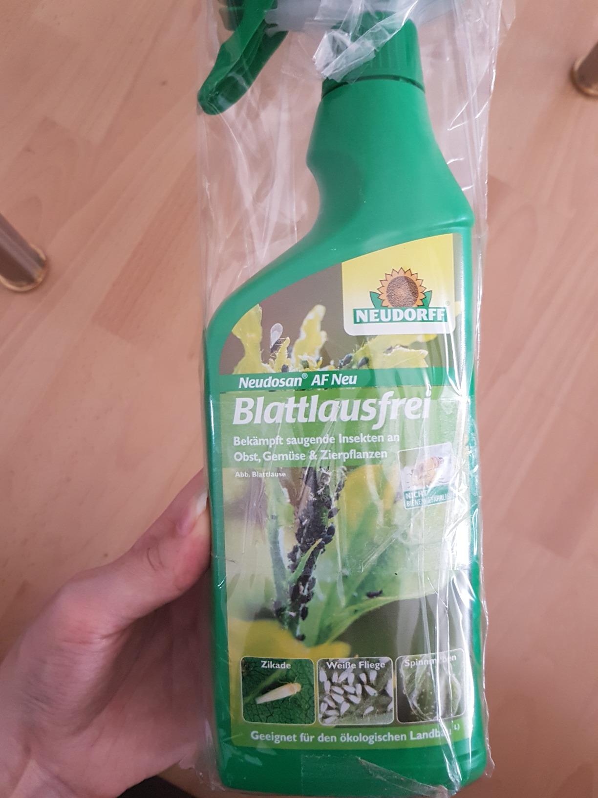 Top für Gemüsebeet