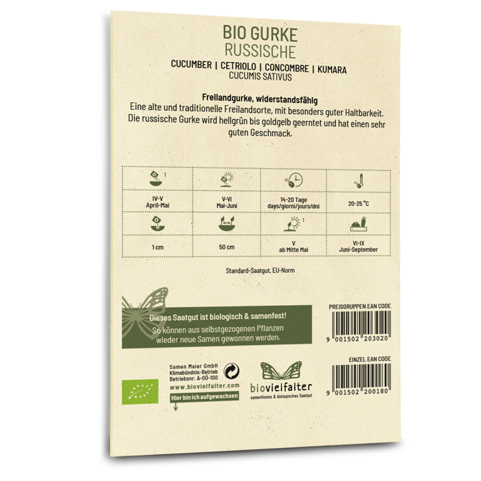 plantura-bio-gurke-russische-bio-saatgut image 3