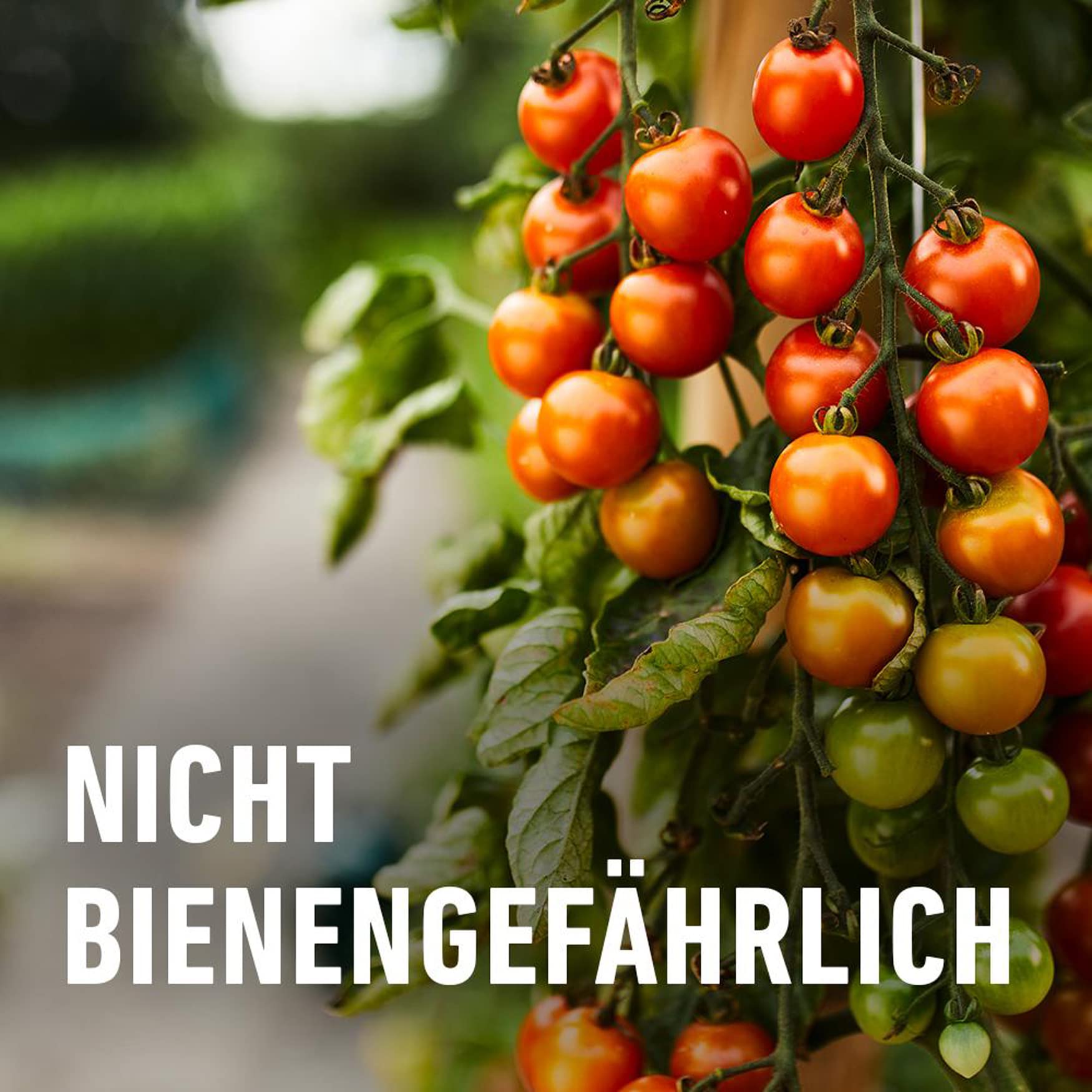 compo-sch-dlings-frei-plus-konzentrat-100-ml-insektizid-gegen-blattl-use-wolll-u image 6