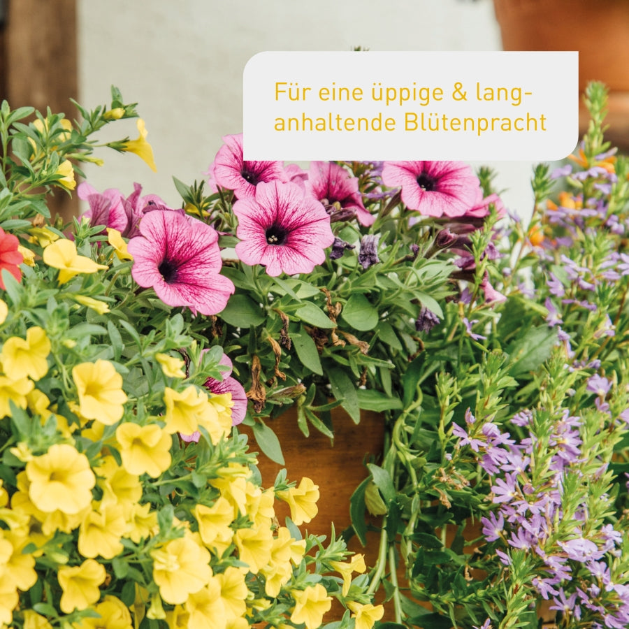 plantura-bio-blumenerde-torffreie-erde-f-r-bl-hpflanzen image 2