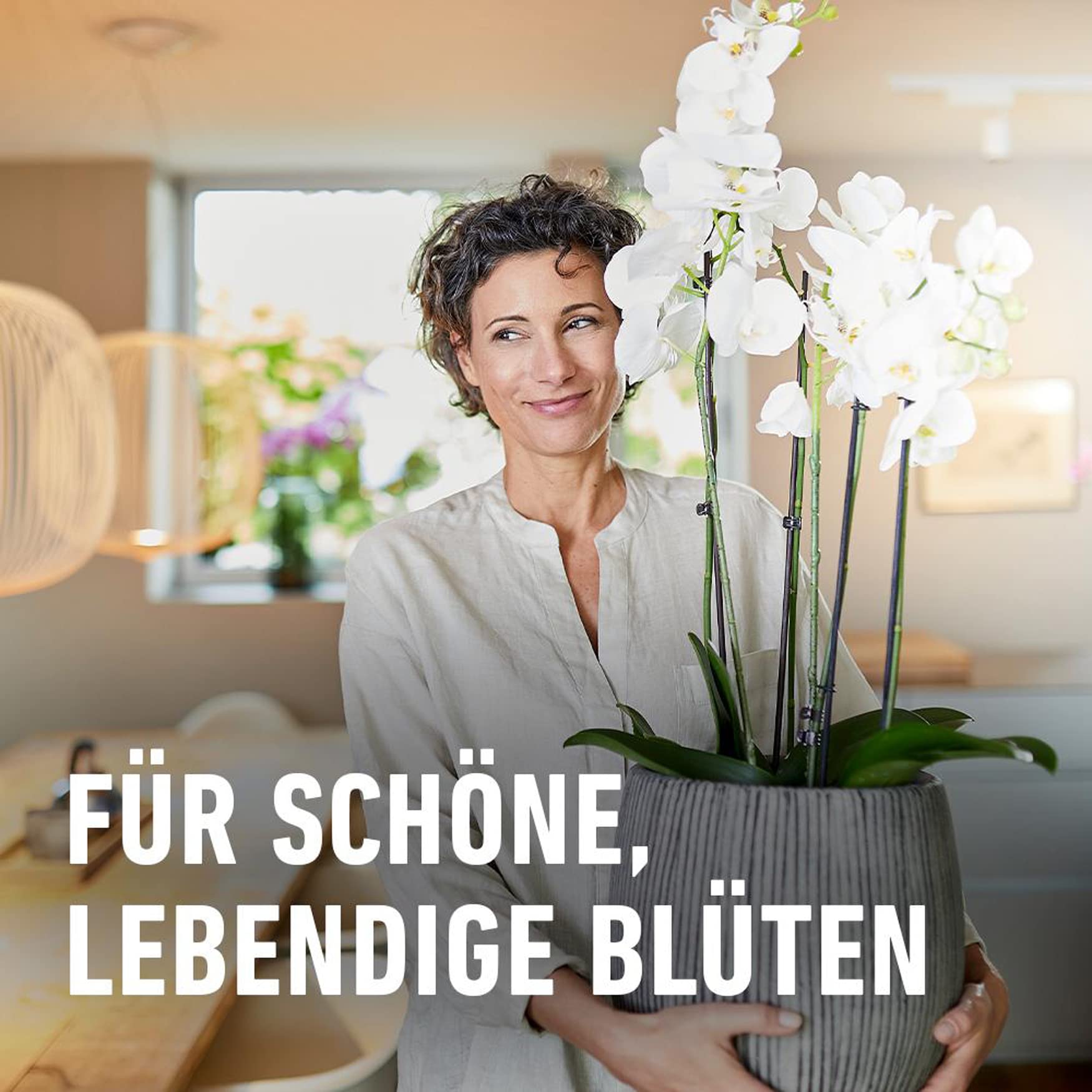 compo-blattpflege-f-r-orchideen-250-ml-spr-hflasche image 5