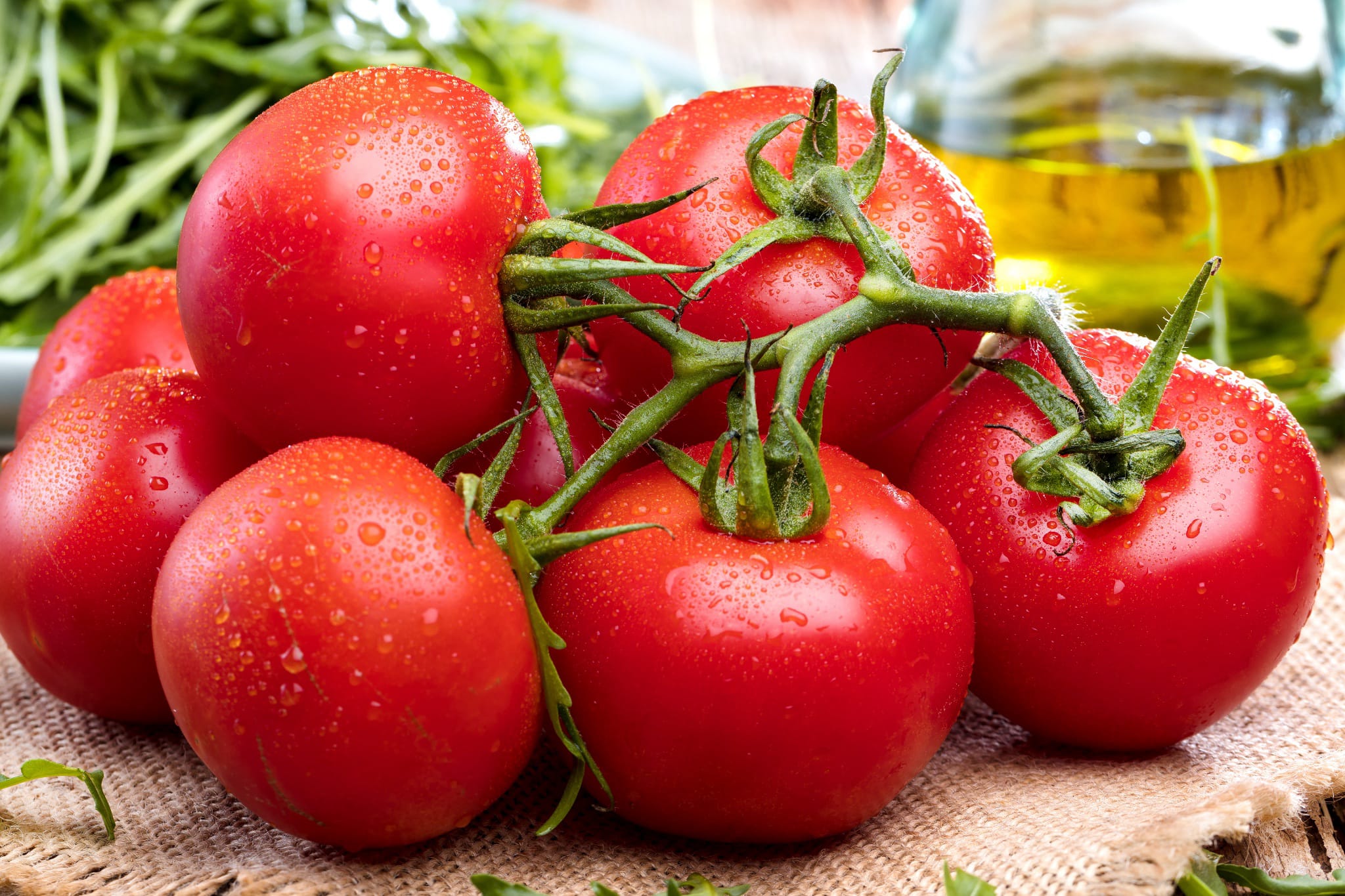 plantura-bio-tomate-rondobella-bio-saatgut image 2