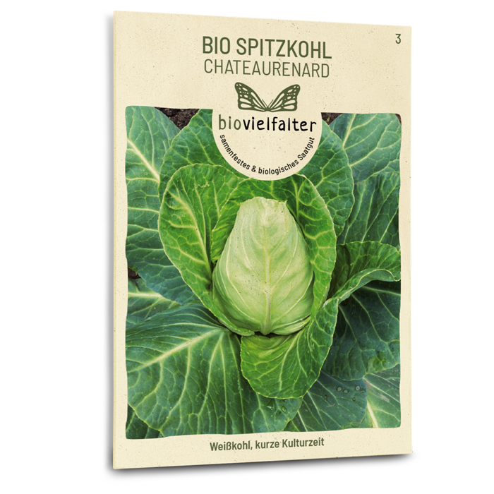 plantura-bio-spitzkohl-chateaurenard-bio-saatgut image 1