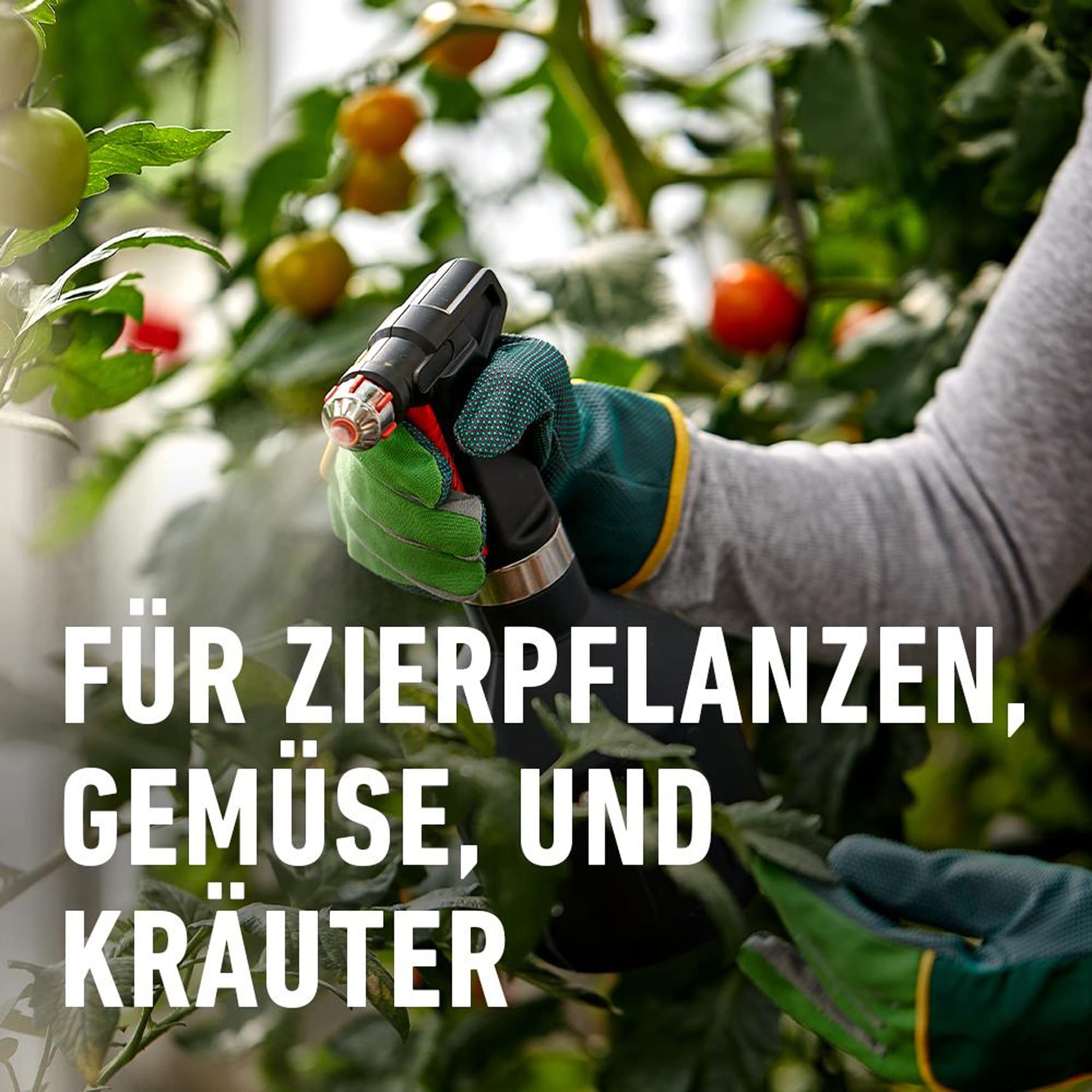 compo-ortiva-spezial-pilz-frei-20-ml-konzentrat-mit-messbecher image 4