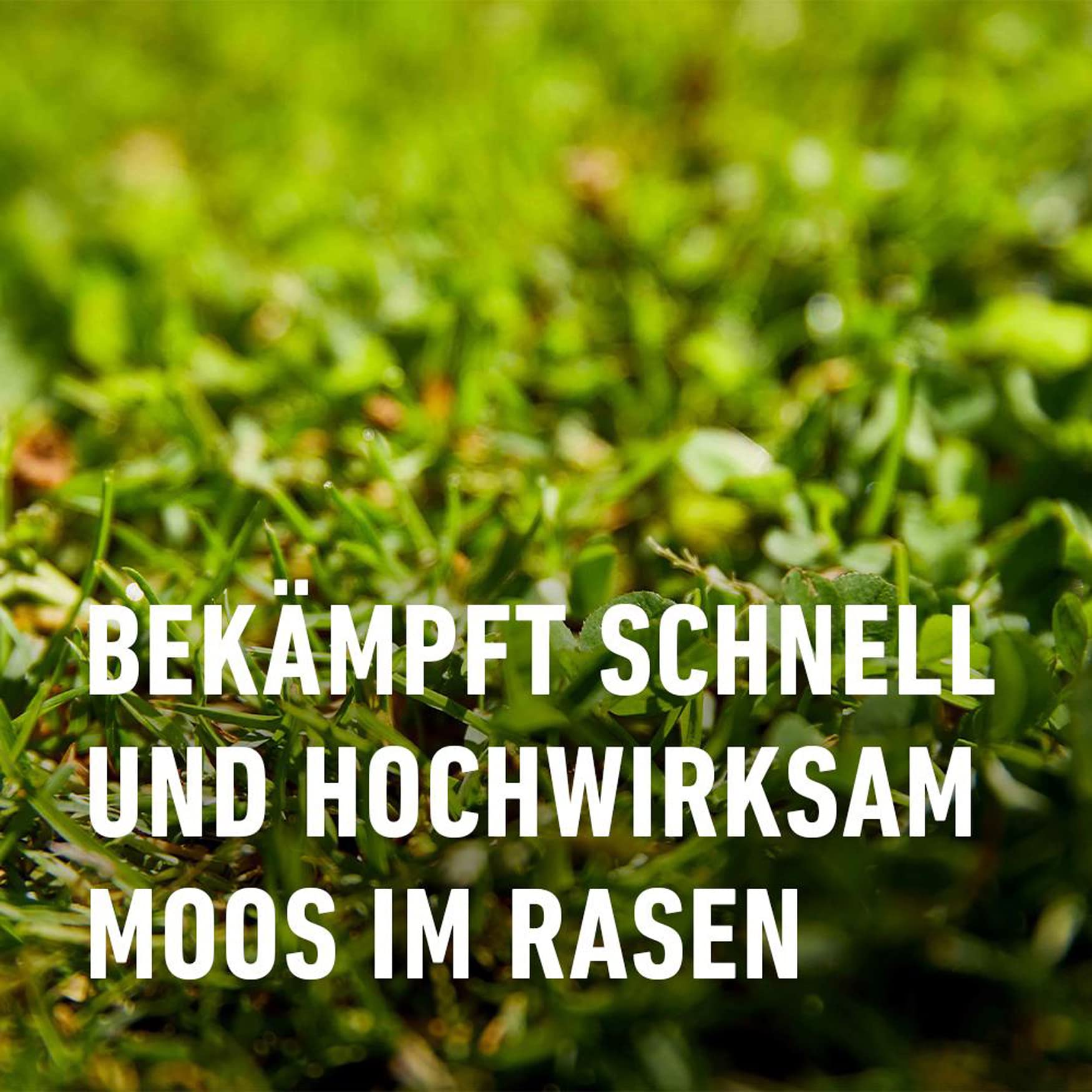 compo-rasen-moos-frei-herbistop-konzentrat-500-ml-f-r-55-m image 3
