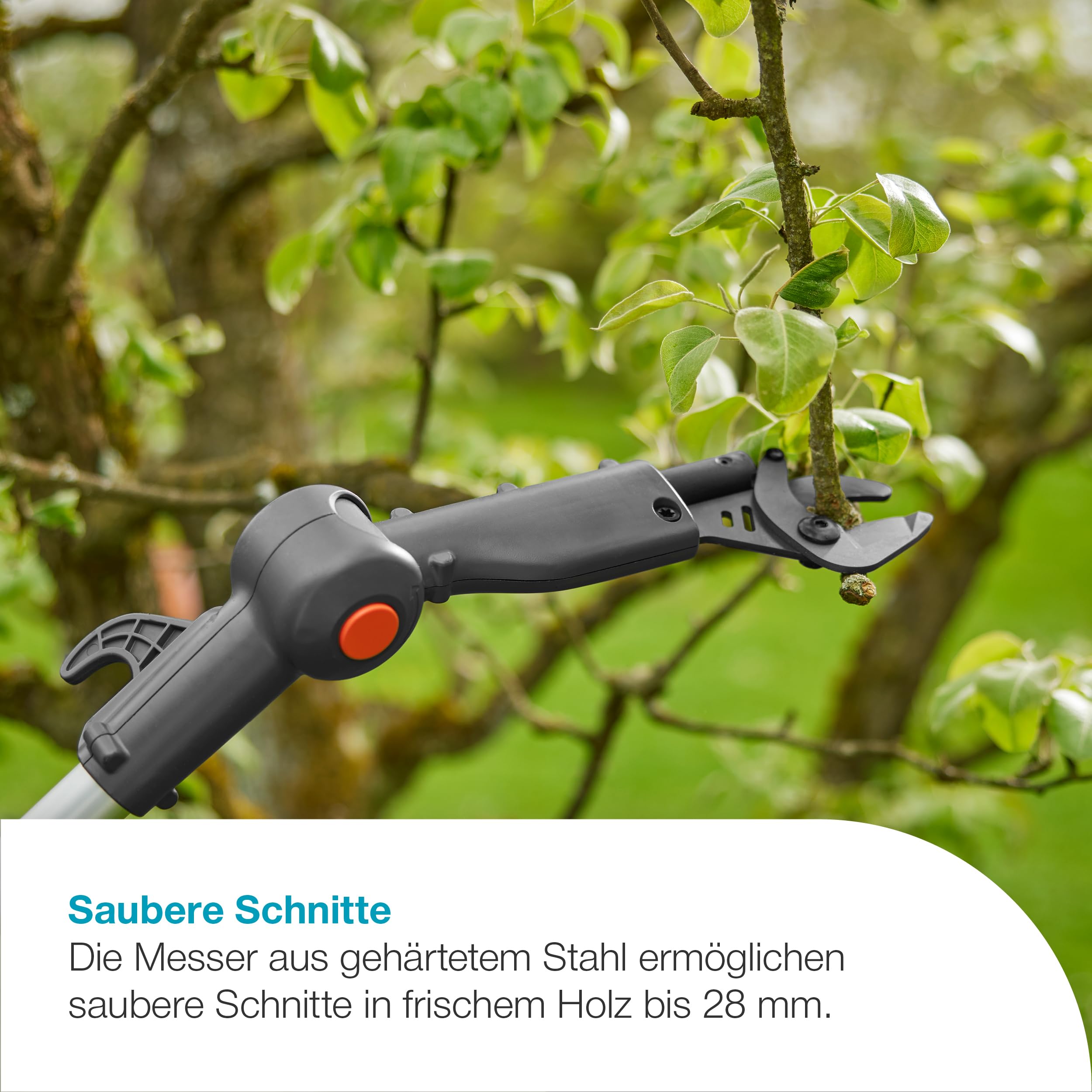 gardena-akku-teleskop-baumschere-highcut-360-18v-p4a-14776-55-ohne-akku-bis-5-m image 5