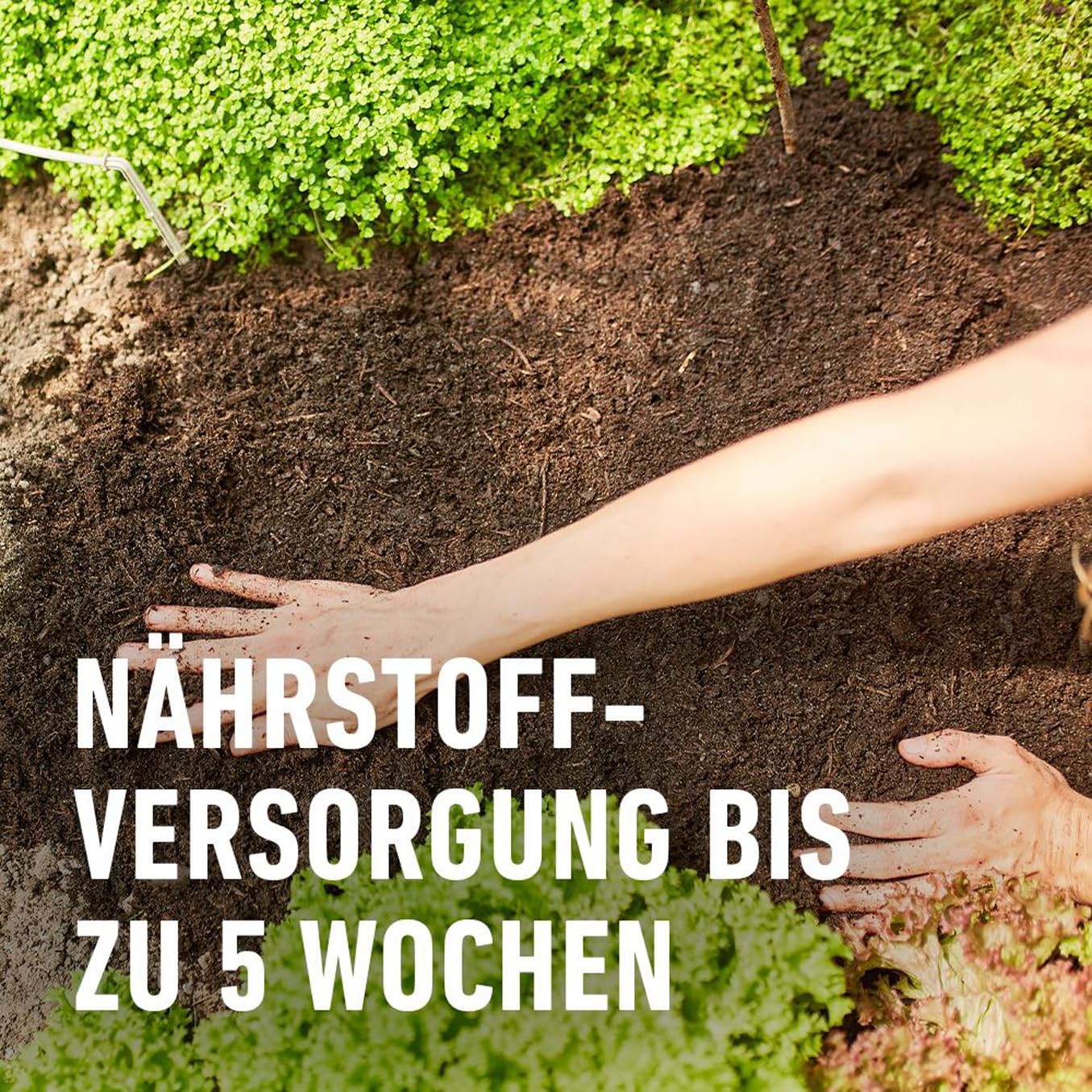 compo-bio-tomaten-und-gem-seerde-torffrei-20-l image 4