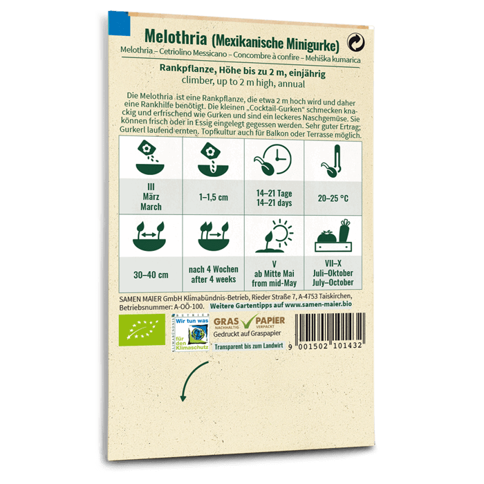 plantura-bio-mexikanische-minigurke-cucamelon-bio-saatgut image 3