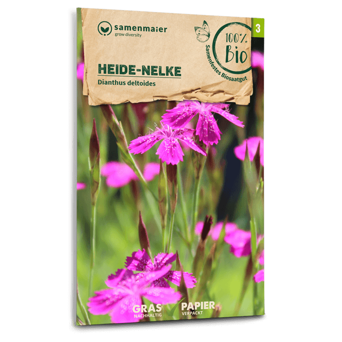 plantura-bio-heide-nelke-wildblume-bio-saatgut image 1
