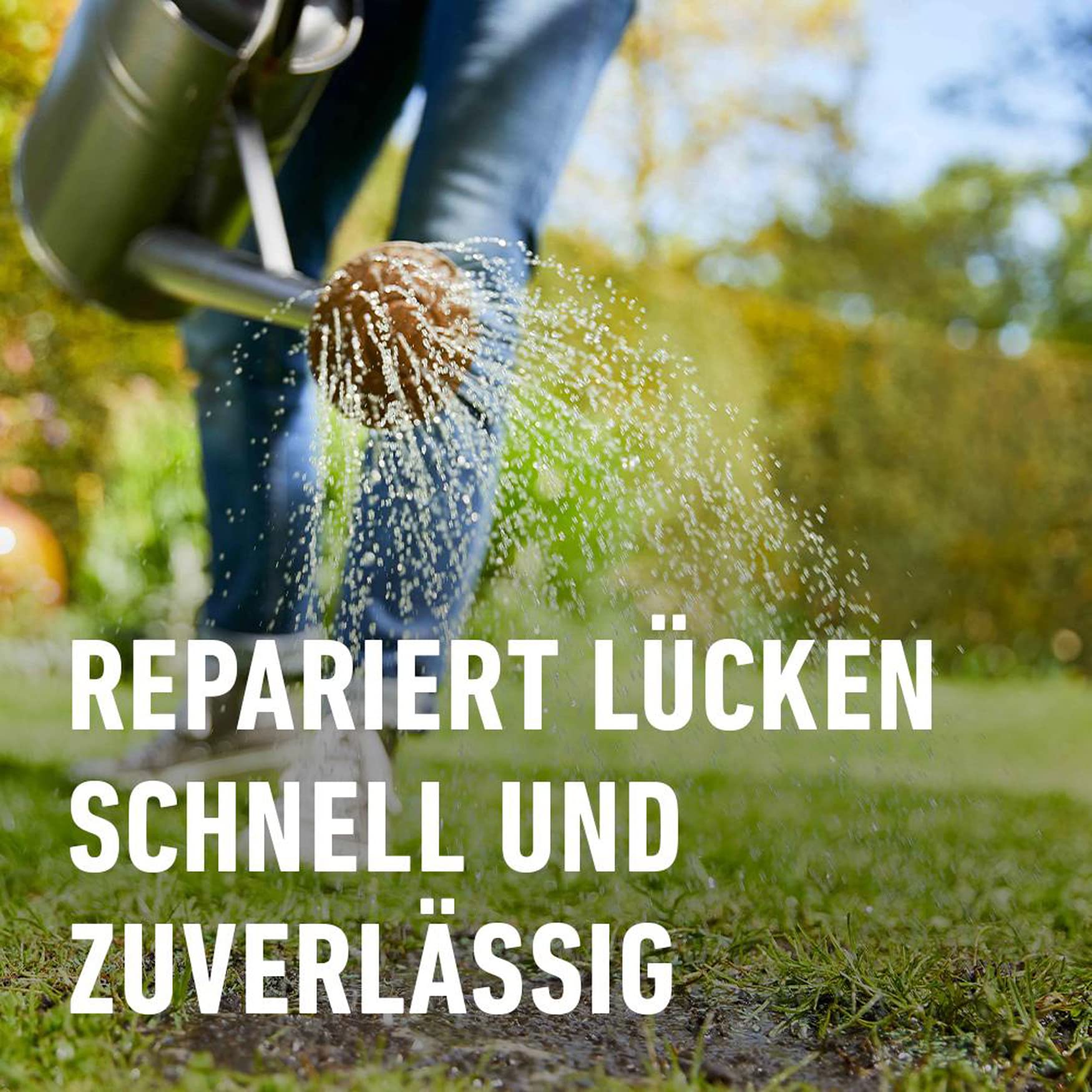 compo-saat-nachsaat-rasen-rasensamen-2-kg-f-r-100-m-mit-keimbeschleuniger image 4