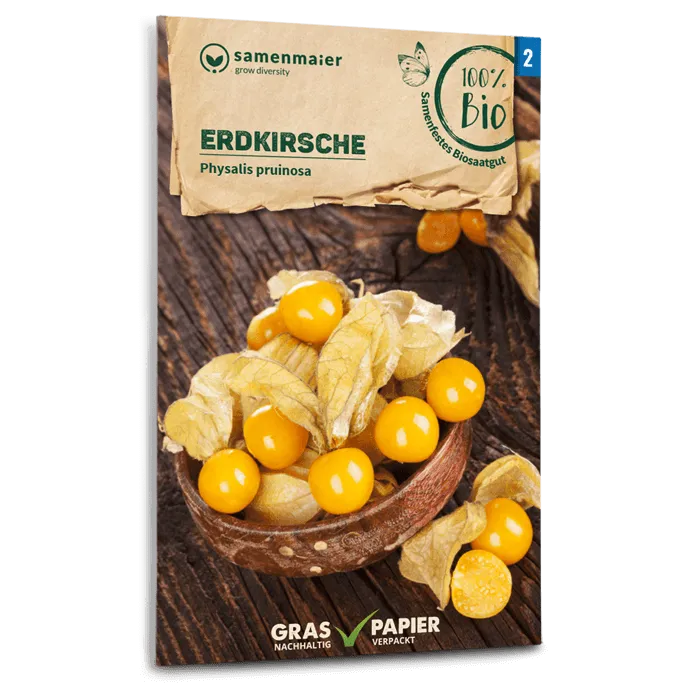 plantura-bio-ananaskirsche-bio-saatgut-andenbeere image 1