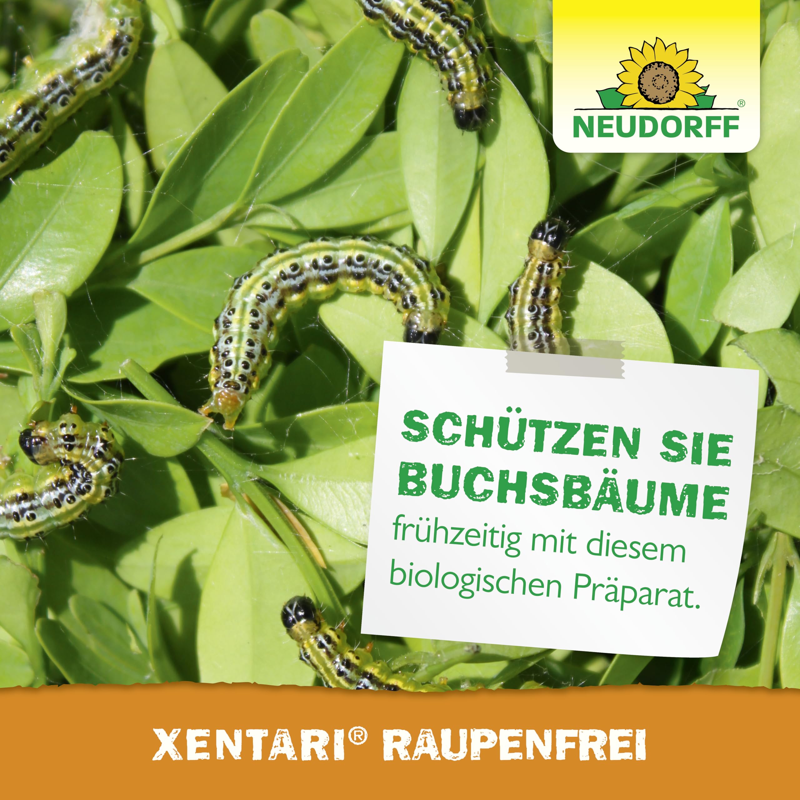 neudorff-xentari-raupenfrei-25-g-bio-insektizid-gegen-buchsbaumz-nsler image 6
