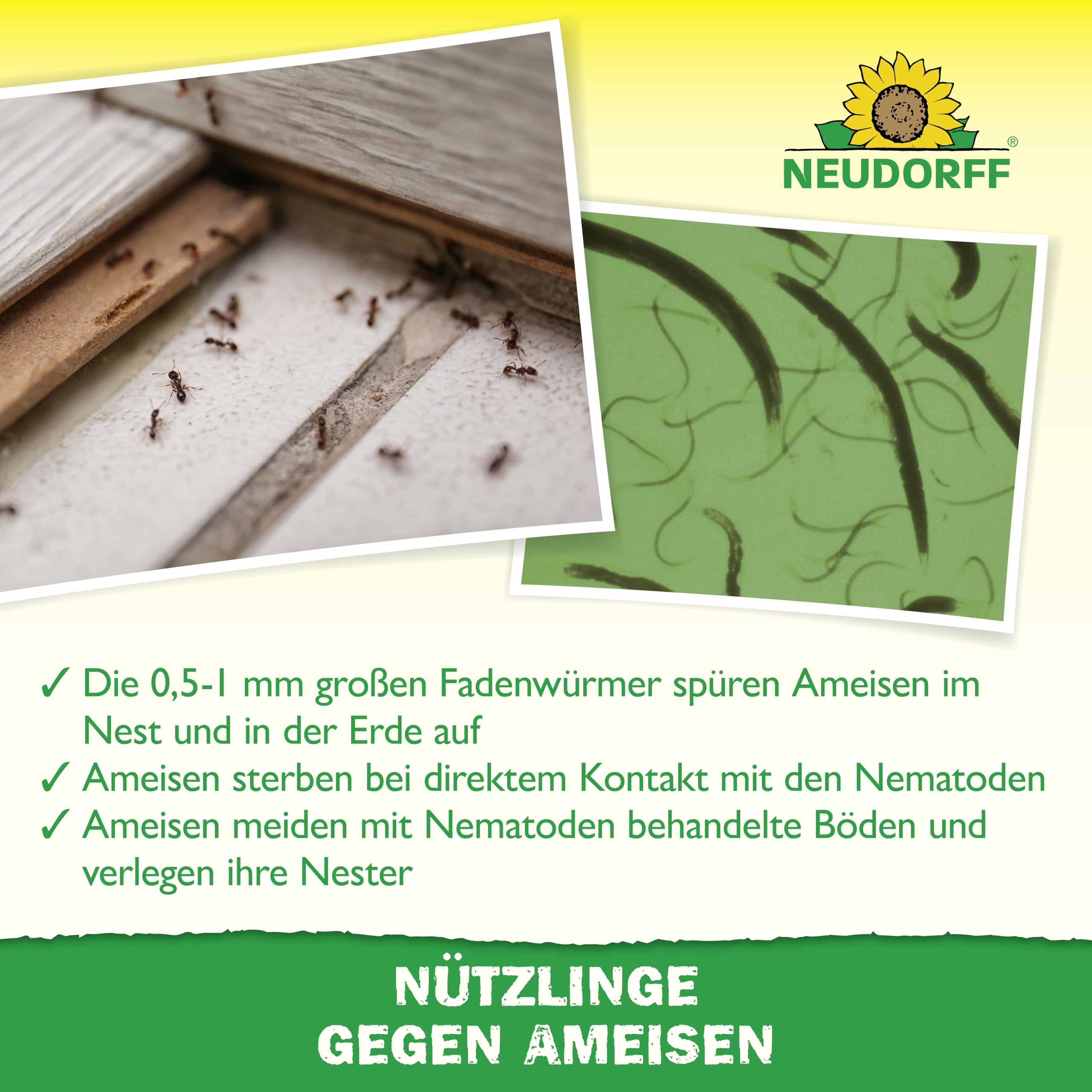 neudorff-n-tzlinge-gegen-ameisen-sf-nematoden-10-mio-f-r-5-nester image 4