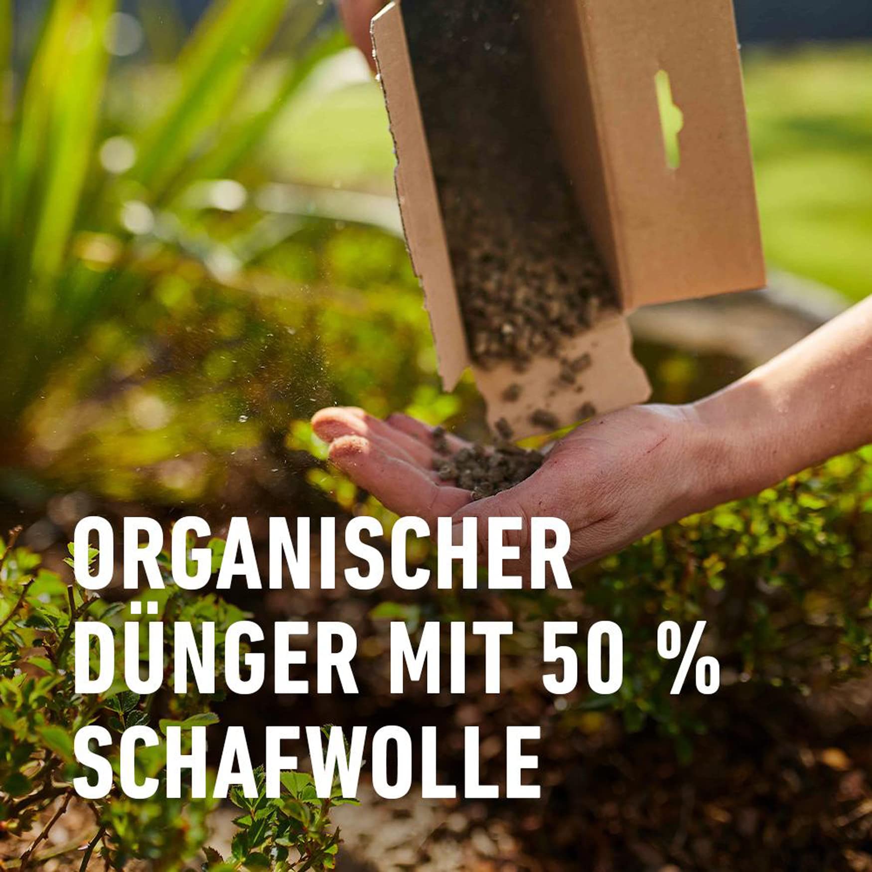 compo-bio-rosen-langzeit-d-nger-mit-schafwolle-750-g-5-monate-wirkung image 3