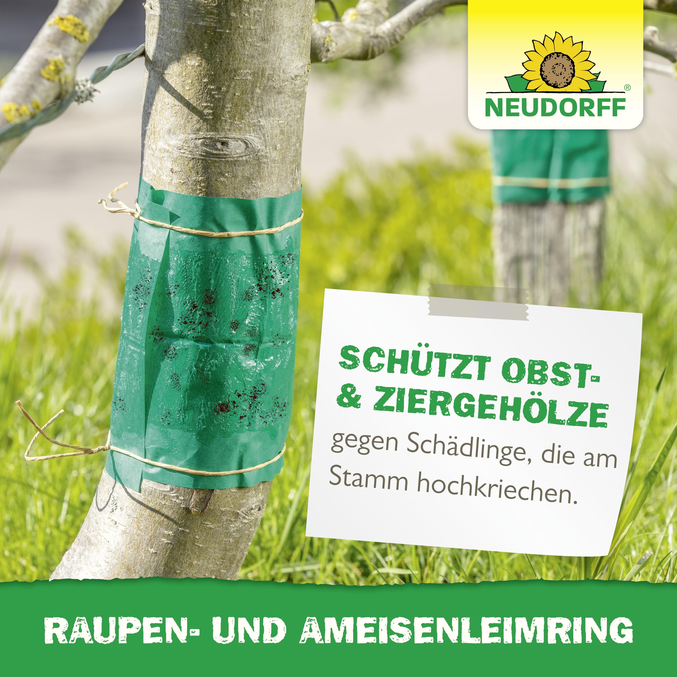 neudorff-raupen-und-ameisenleimring-3-m-insektizidfreier-leimring-f-r-obst-und-z image 6