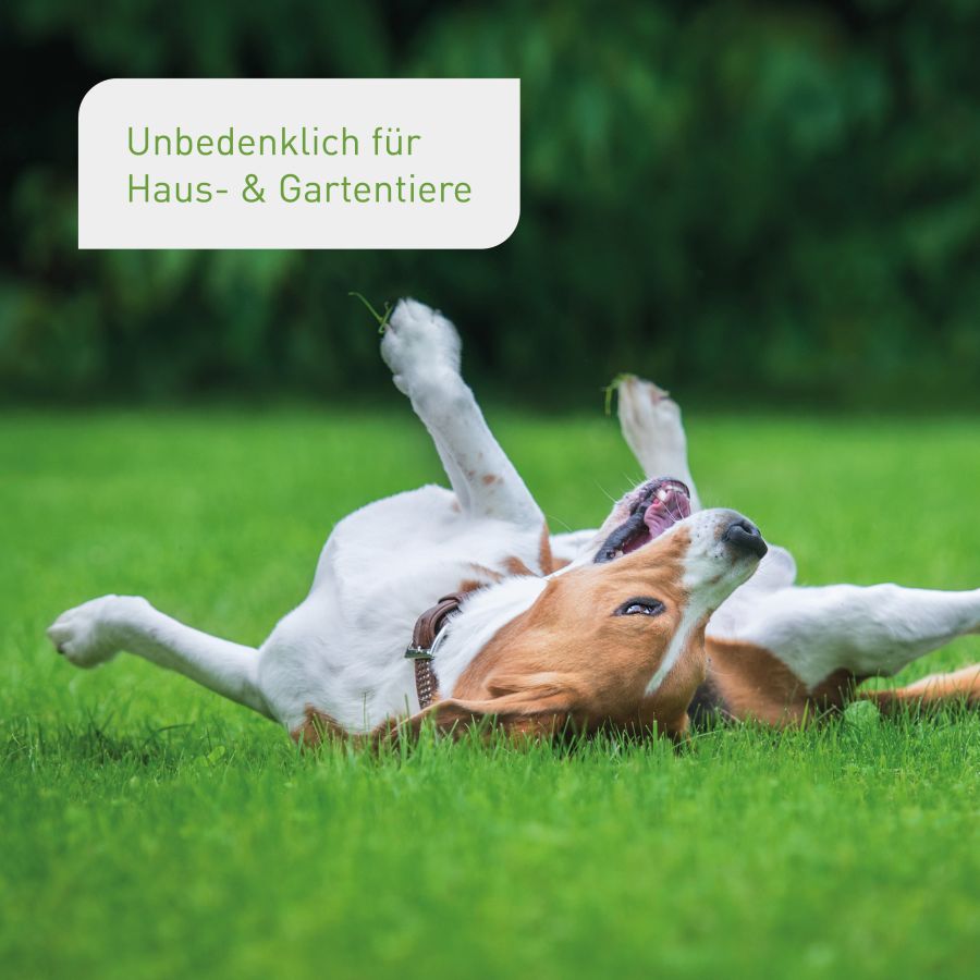plantura-bio-rasend-nger-10-5-kg-granulat-papierverpackung image 6