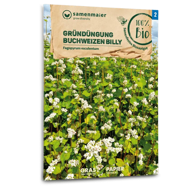 plantura-bio-buchweizen-billy-gr-nd-ngung-saatgut image 1
