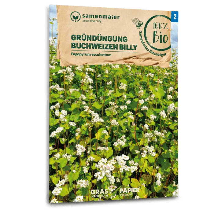 plantura-bio-buchweizen-billy-gr-nd-ngung-saatgut image 1
