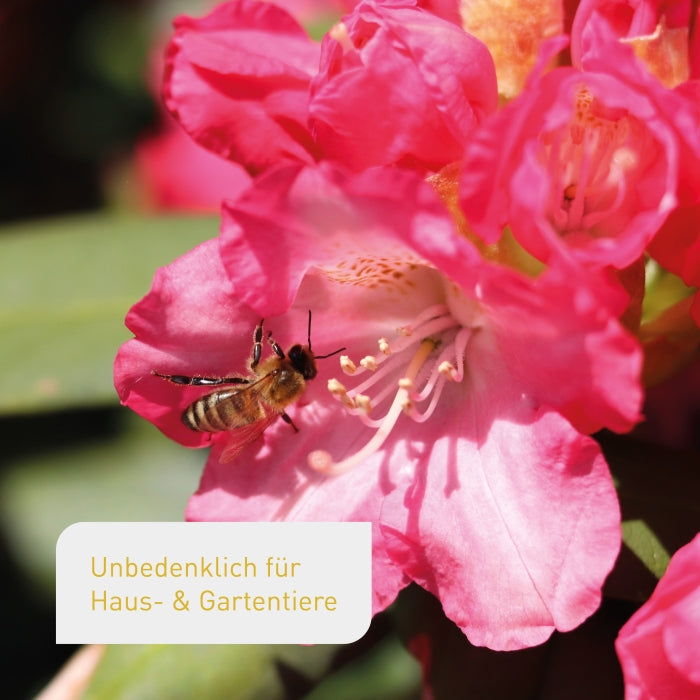 plantura-bio-blumend-nger-1-5-kg-granulat-mit-langzeitwirkung image 6