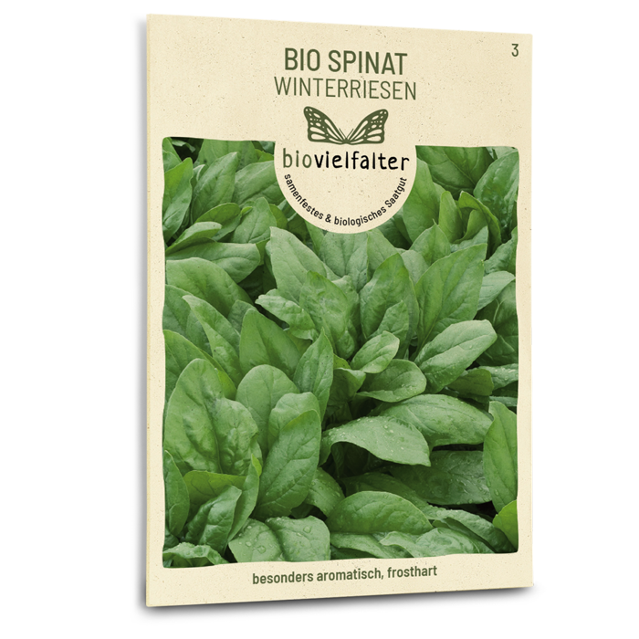 plantura-bio-spinat-winterriesen-bio-saatgut-blattspinat image 1