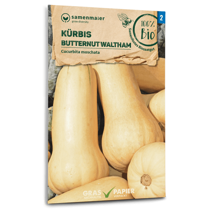 plantura-bio-k-rbis-butternut-waltham-bio-saatgut image 1