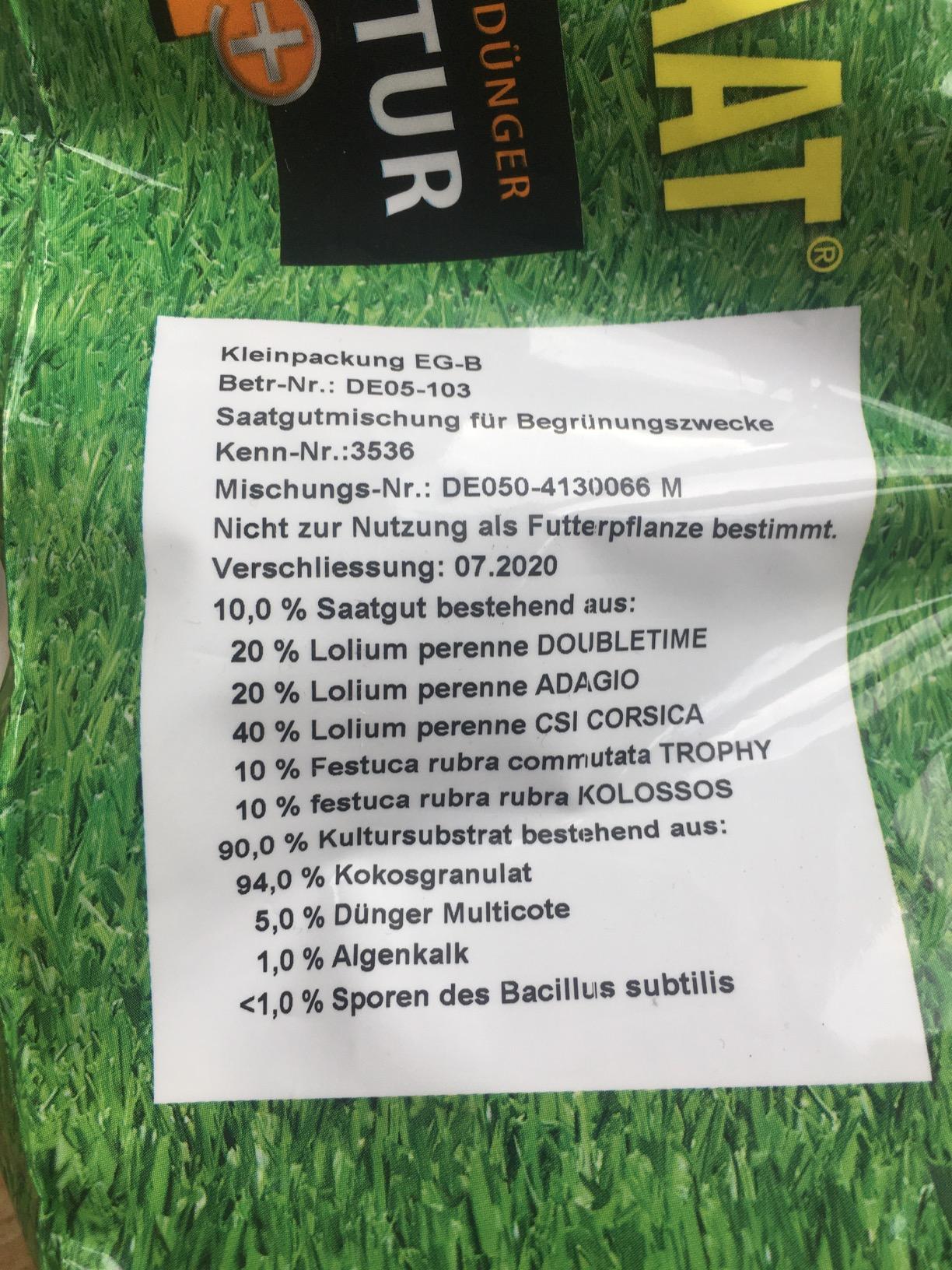Vom Fleckenteppich zum Rasen